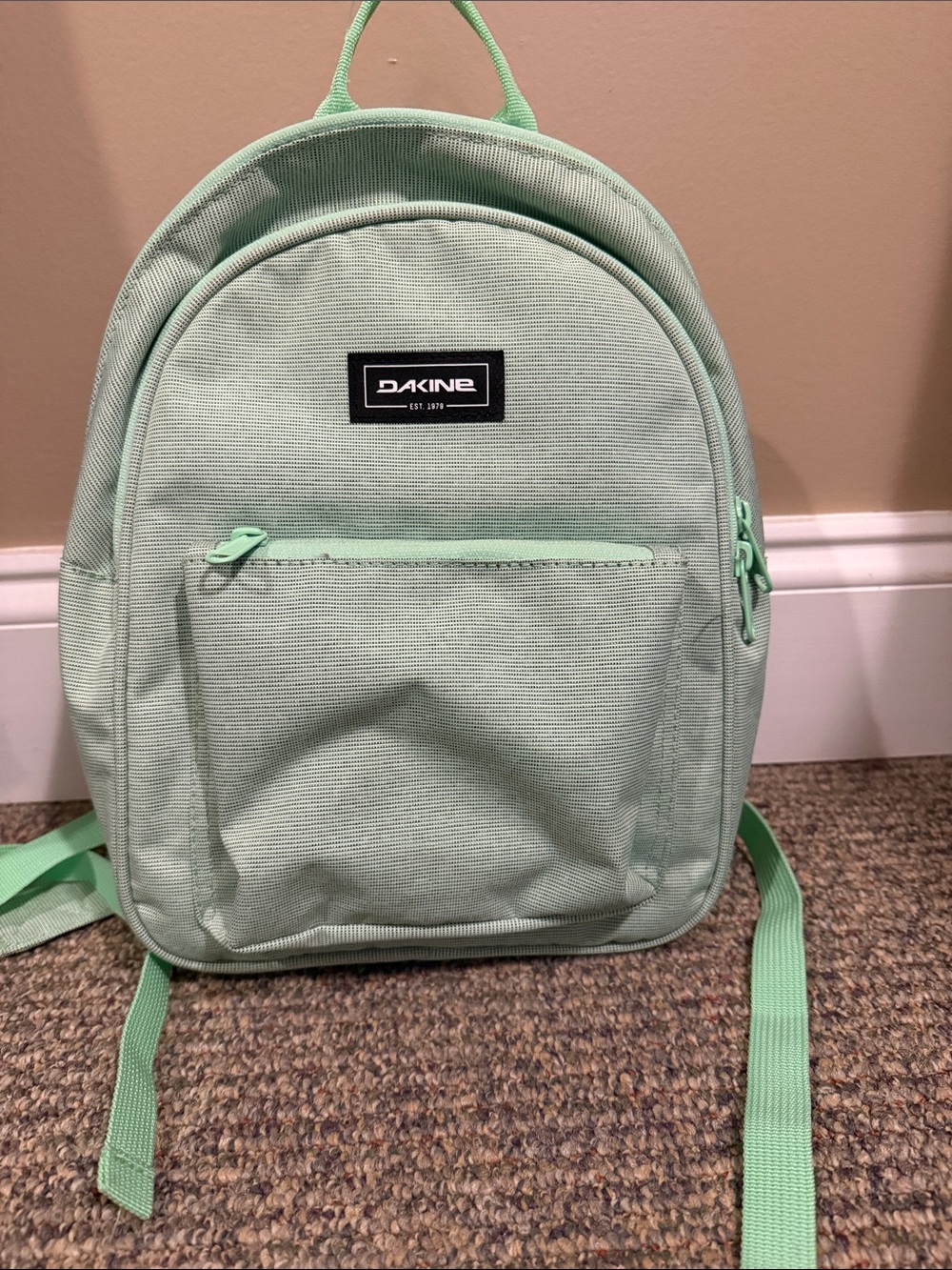 Dakine Mini Backpack in Mint